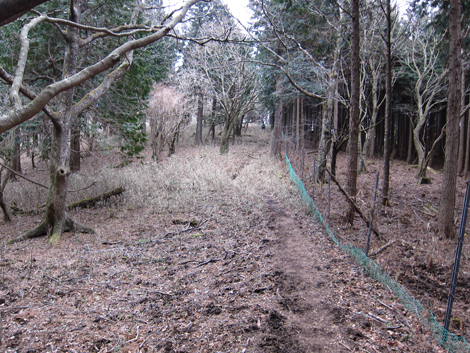 20190214hike (128)